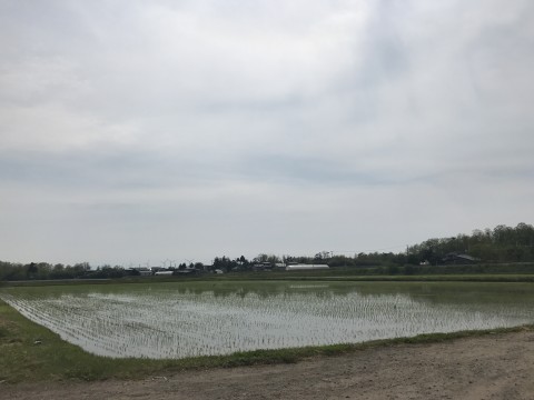 STCブログ写真 2017/05/23