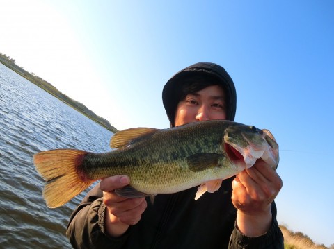 STCブログ写真 2017/05/23