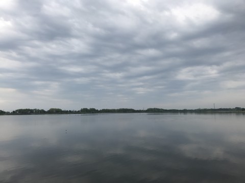 STCブログ写真 2017/06/01