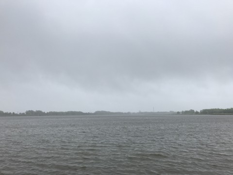 STCブログ写真 2017/06/04