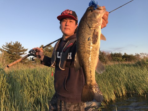 STCブログ写真 2017/06/06