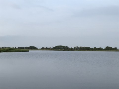 STCブログ写真 2017/07/01