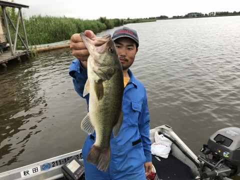 STCブログ写真 2017/07/03