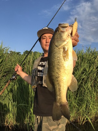 STCブログ写真 2017/07/20