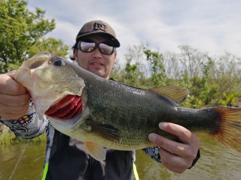 STCブログ写真 2022/05/16