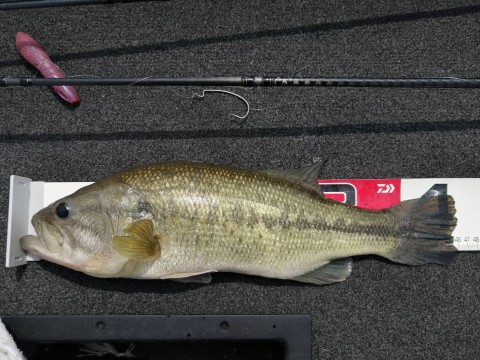 STCブログ写真 2022/05/16